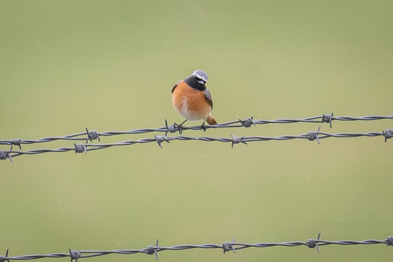 This image has an empty alt attribute; its file name is dsc03728.jpg