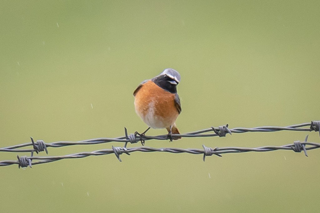 8th April 2021 – Stoke Park Estate,&nbsp;Bristol