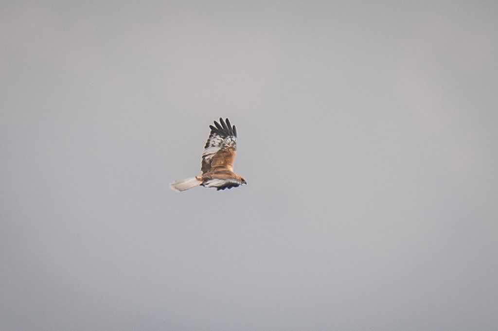 This image has an empty alt attribute; its file name is dsc04494.jpg