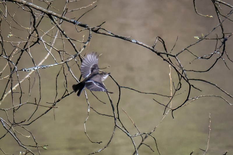 This image has an empty alt attribute; its file name is dsc05365.jpg