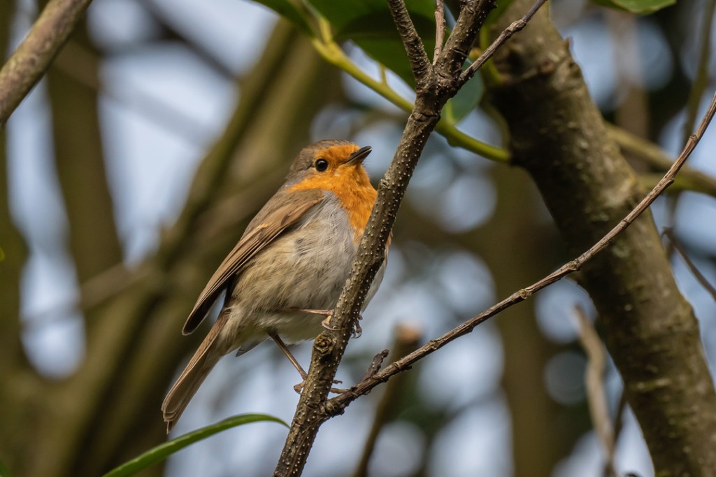 3rd April 2021 – Iron Acton, South&nbsp;Gloucestershire