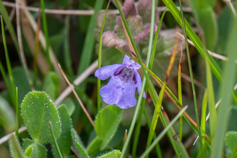 This image has an empty alt attribute; its file name is dsc07818.jpg