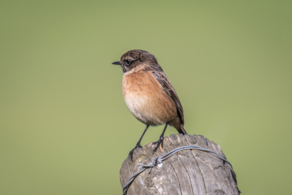 5th October 2021 – Stoke Park Estate,&nbsp;Bristol