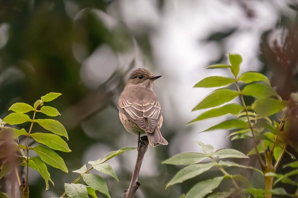 13th September 2022 – Stoke Park Estate,&nbsp;Bristol