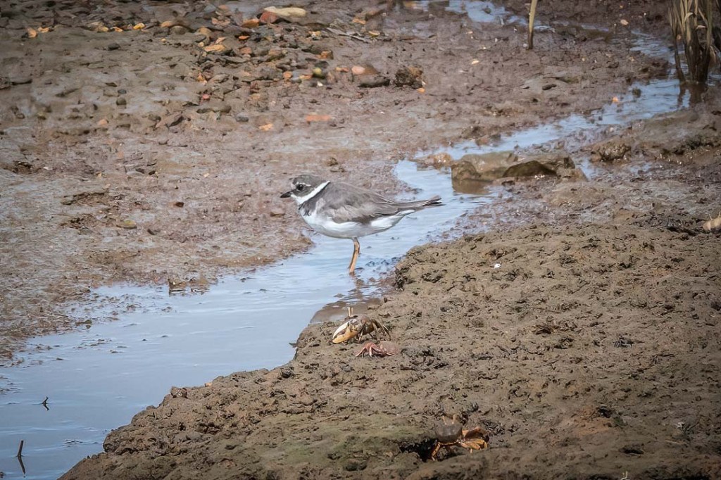 17th September 2023 – Huelva, Spain