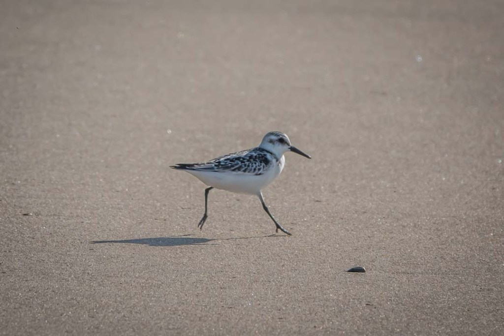 21st September 2023 – Isla Crisitina