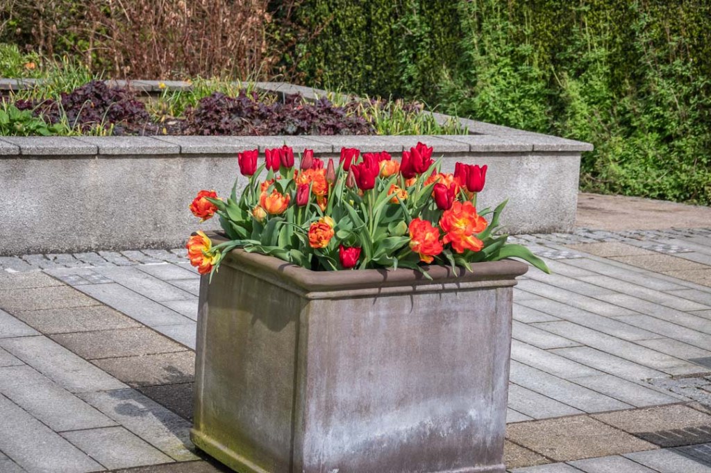 This image has an empty alt attribute; its file name is dsc08667-1.jpg