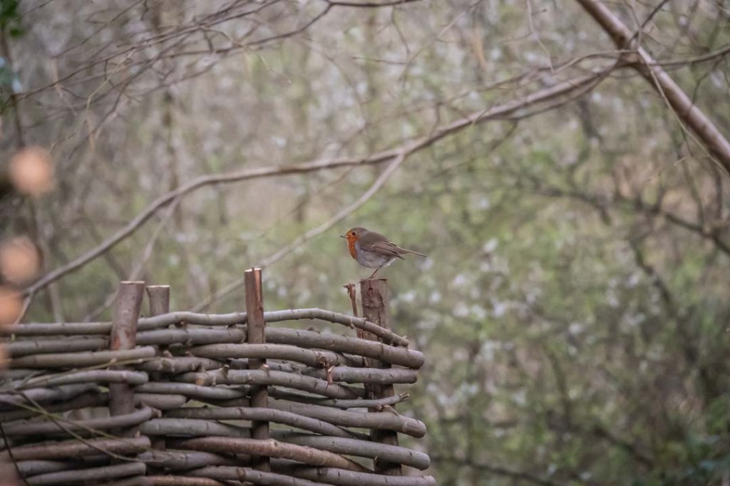 This image has an empty alt attribute; its file name is dsc08697-1.jpg