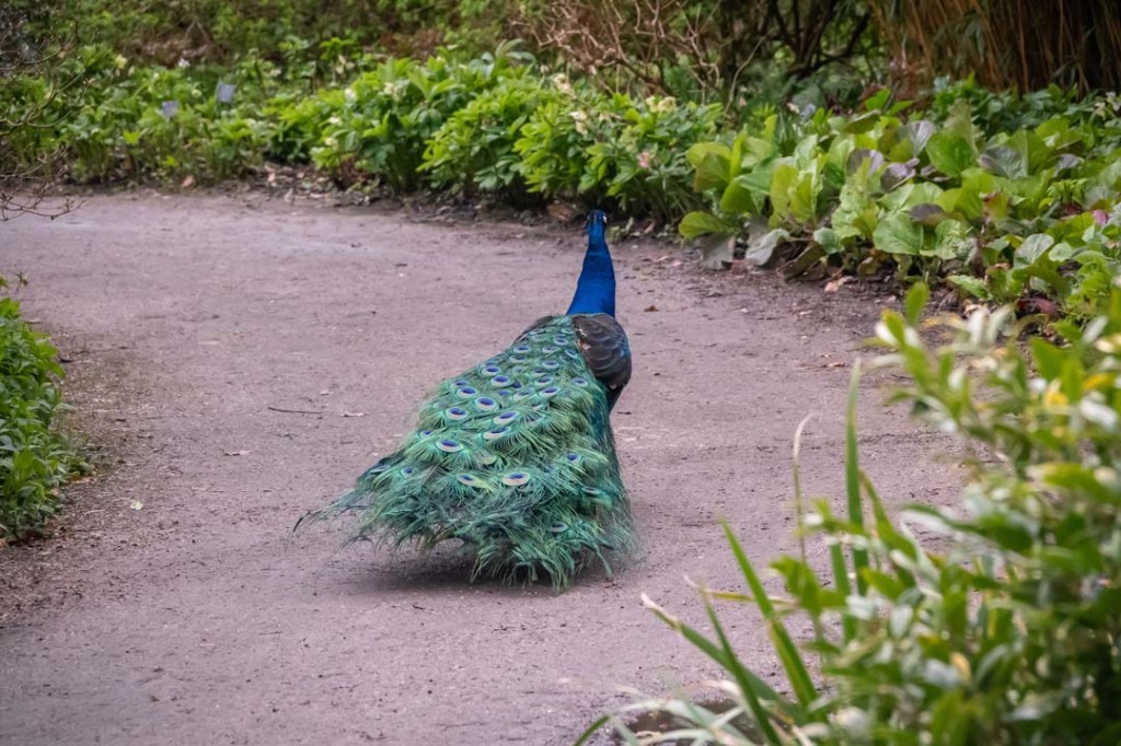 This image has an empty alt attribute; its file name is dsc08717-1.jpg