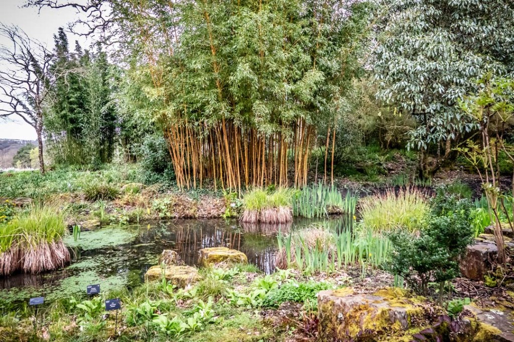 This image has an empty alt attribute; its file name is dsc08818-1.jpg