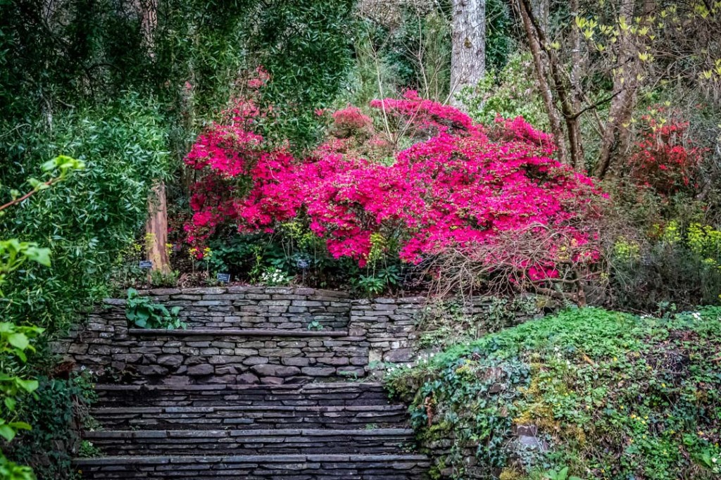 This image has an empty alt attribute; its file name is dsc08848-1.jpg