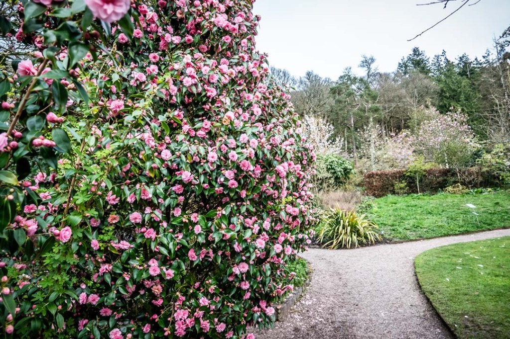 This image has an empty alt attribute; its file name is dsc08846-1.jpg