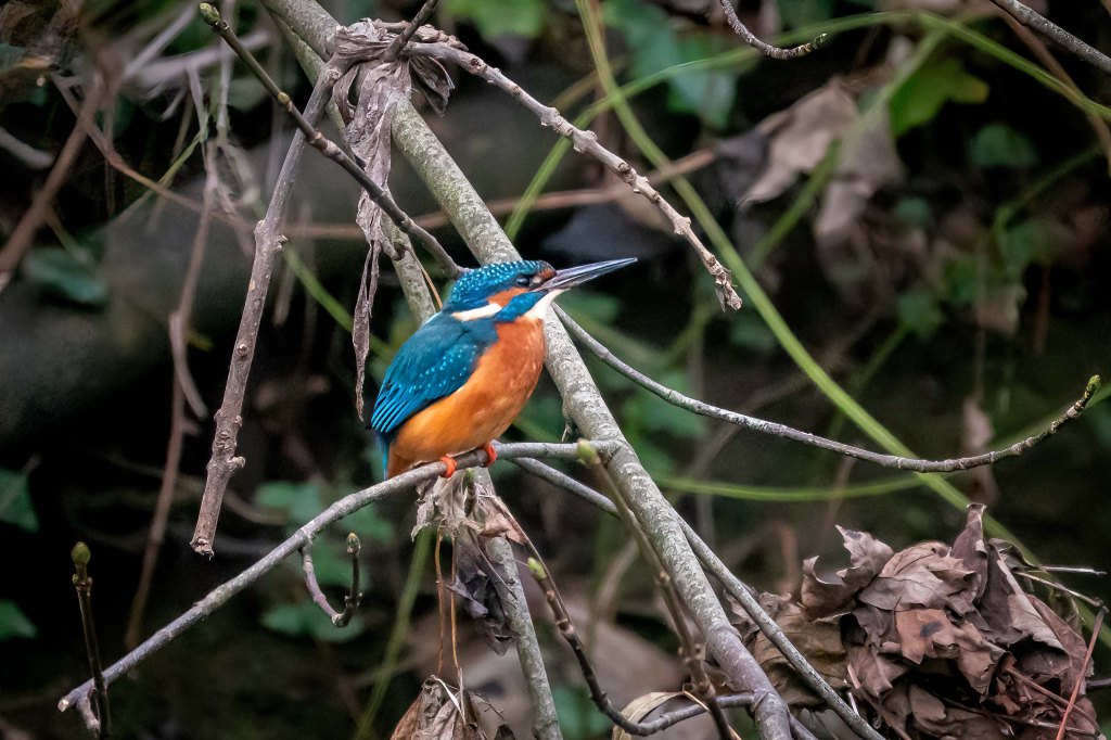 10th November 2024 – Eastville Park,&nbsp;Bristol