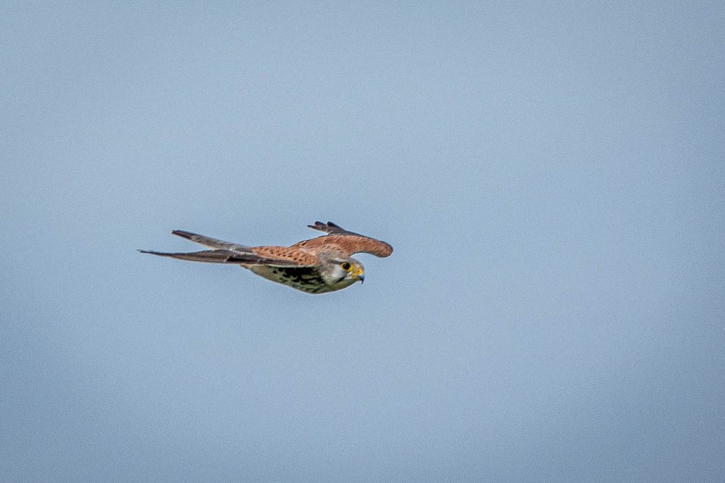 21st December 2024 – In and around Paphos,&nbsp;Cyprus