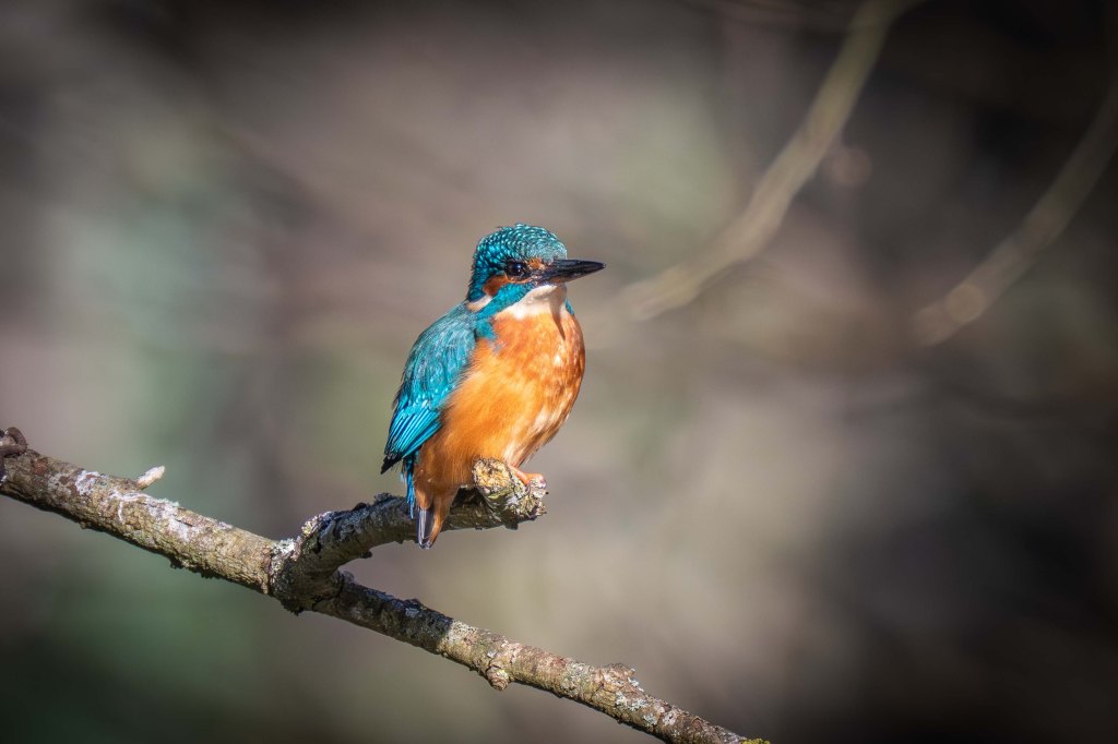 16th March 2025 – Eastville Park,&nbsp;Bristol